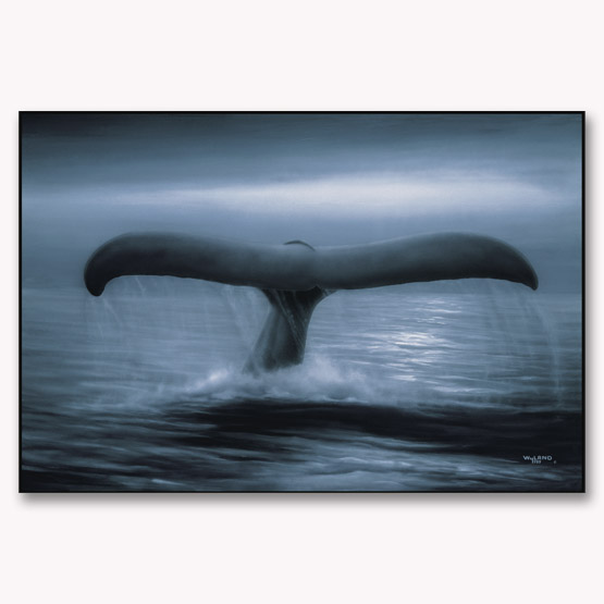Tails of Great Whales - Large