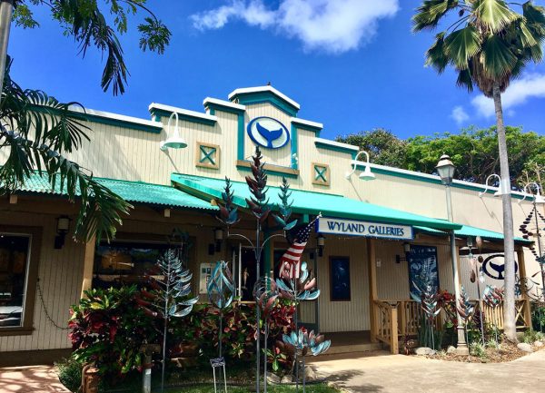 Wyland Galleries Of Hawaii Haleiwa Oahu Wyland Worldwide