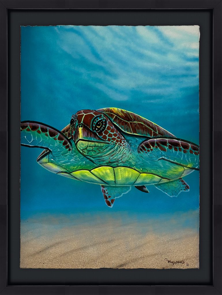 Galleries – Wyland Worldwide