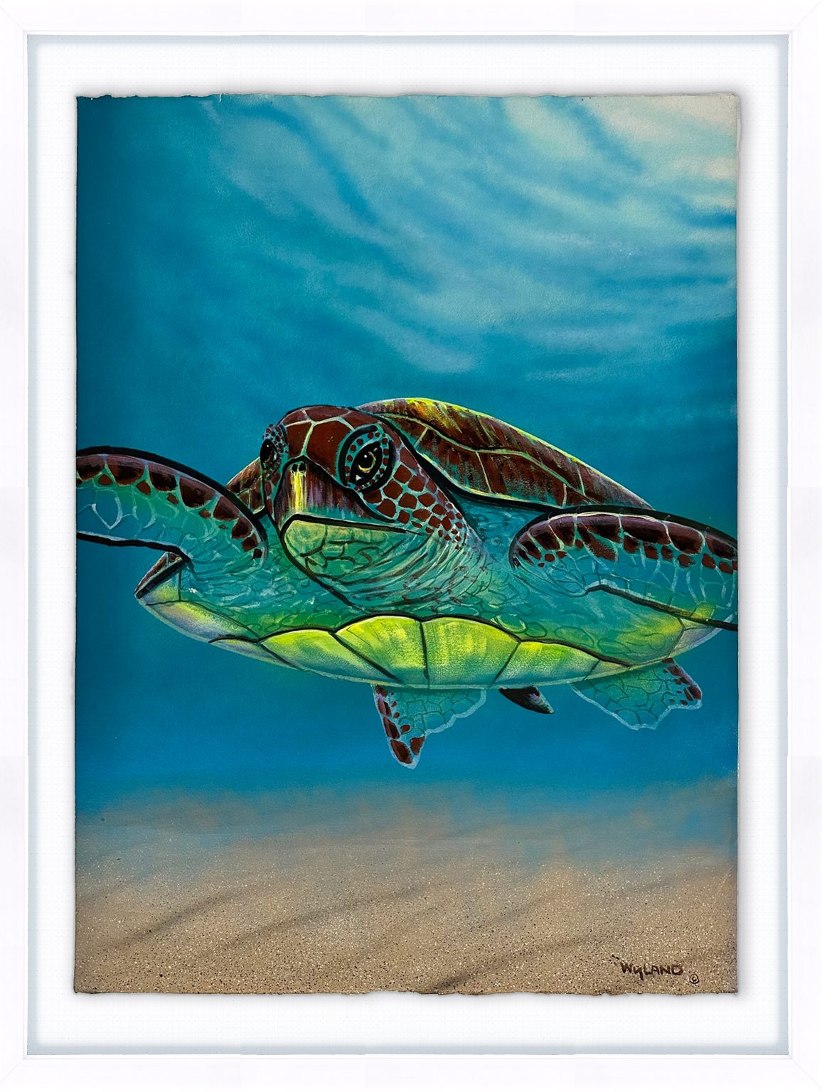 Galleries – Wyland Worldwide